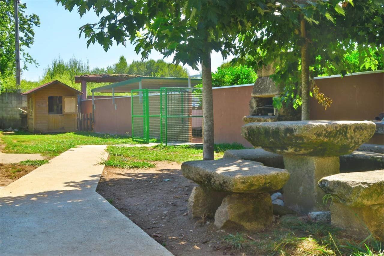 centro canino daponte