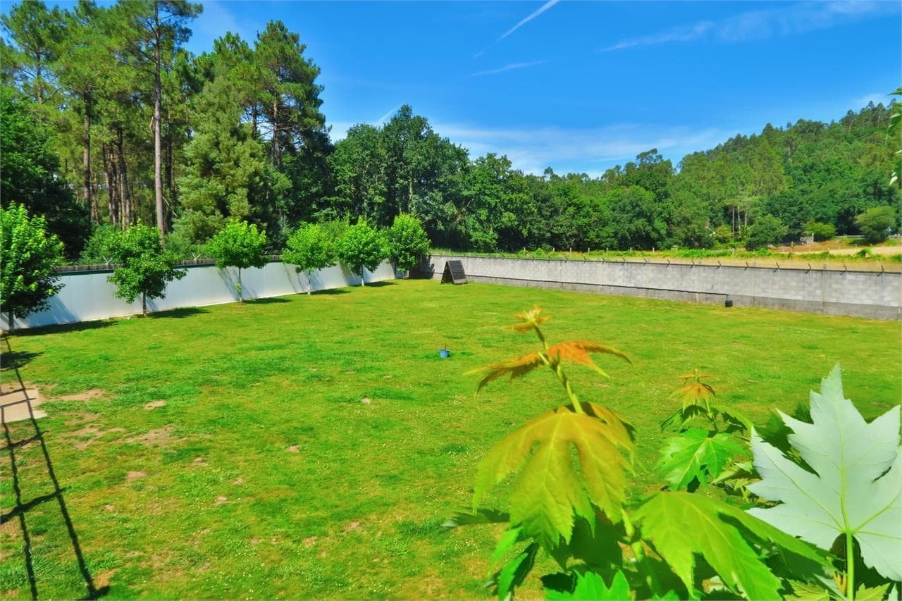 centro canino daponte