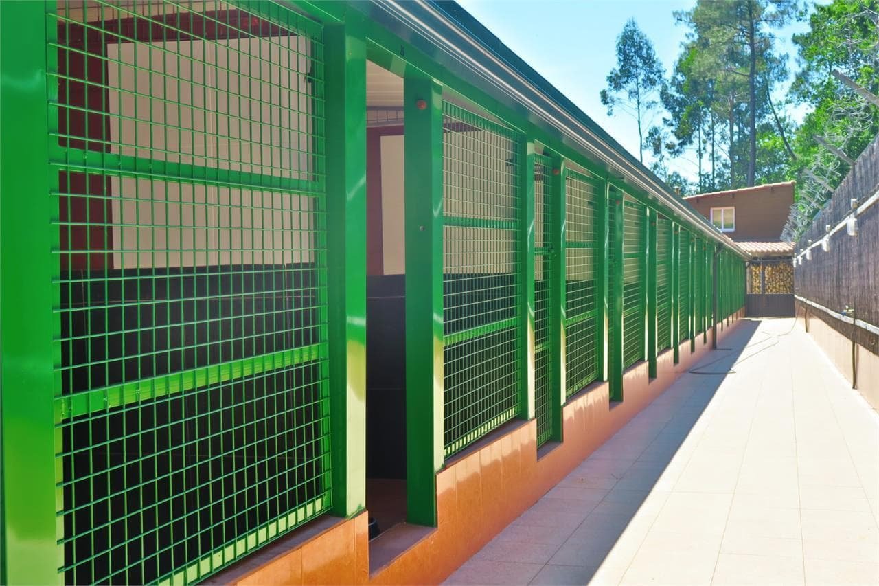 centro canino daponte