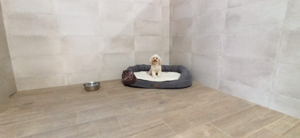 hotel canino aulacan
