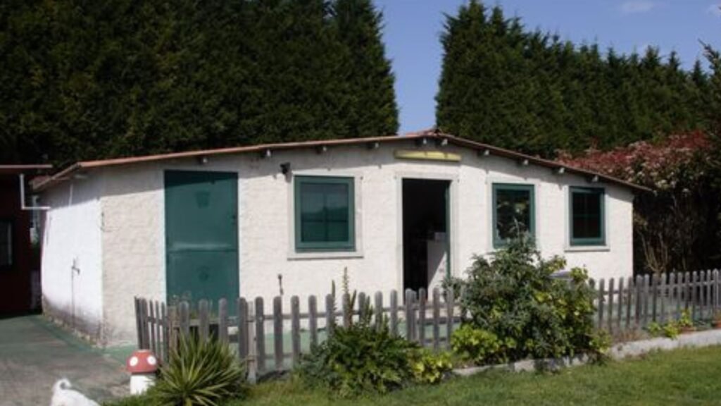 hotel canino mi segunda caseta