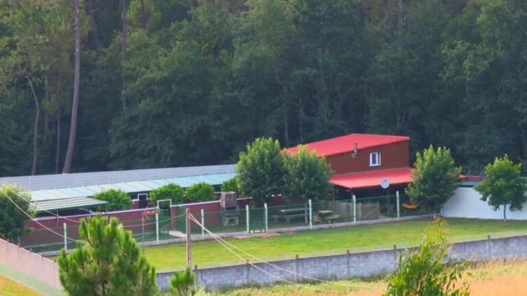 Centro Canino Daponte – residencia canina en A Coruña