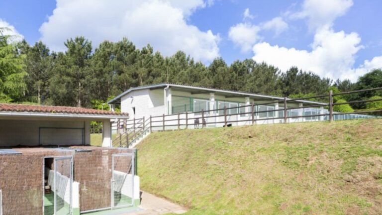 Residencia Canina Do Pazo – residencia canina en A Coruña