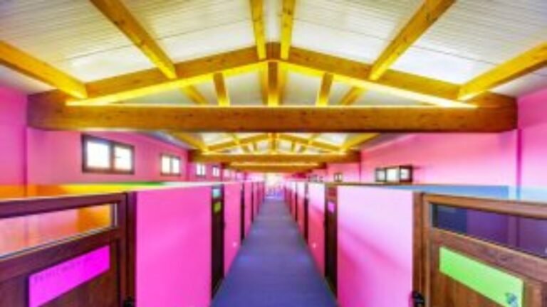 Residencia Canina Montegatto – residencia canina en A Coruña