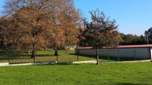 residencia canina veiga do ulla