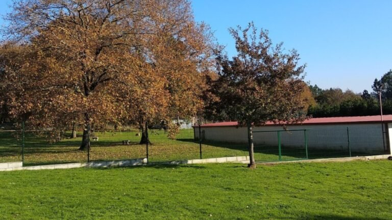 Residencia Canina Veiga Do Ulla – residencia canina en A Coruña