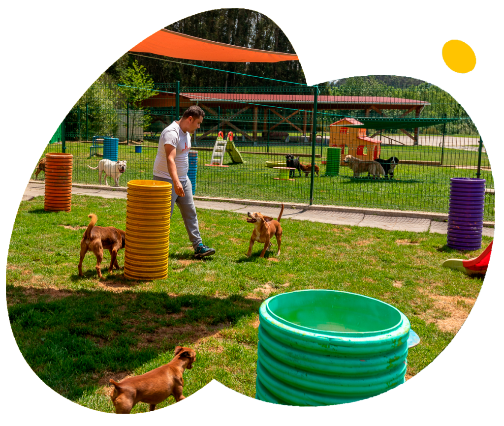 residencia canina montegatto