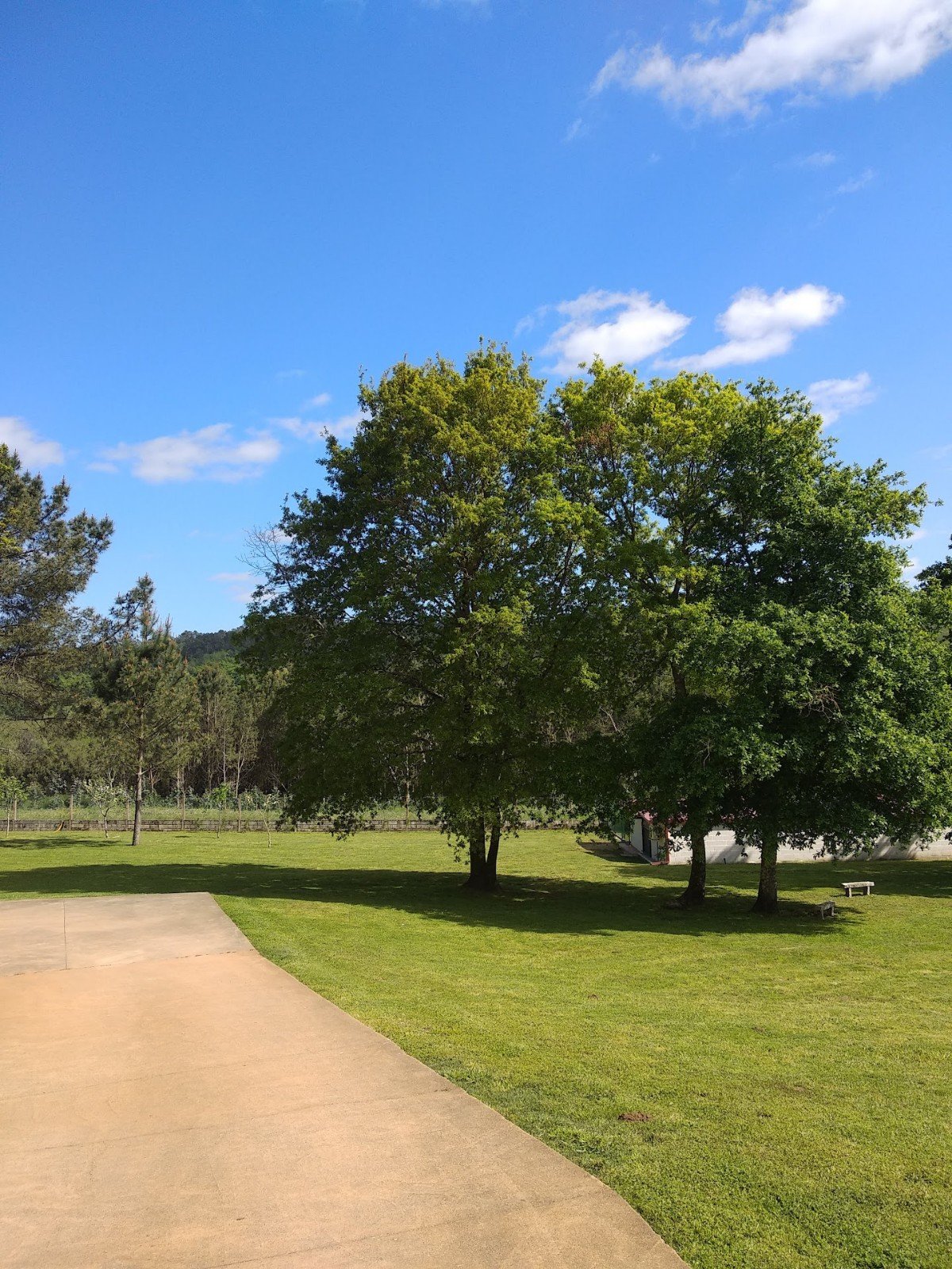 residencia canina veiga do ulla