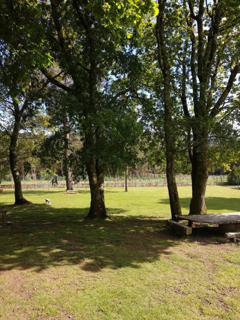 residencia canina veiga do ulla