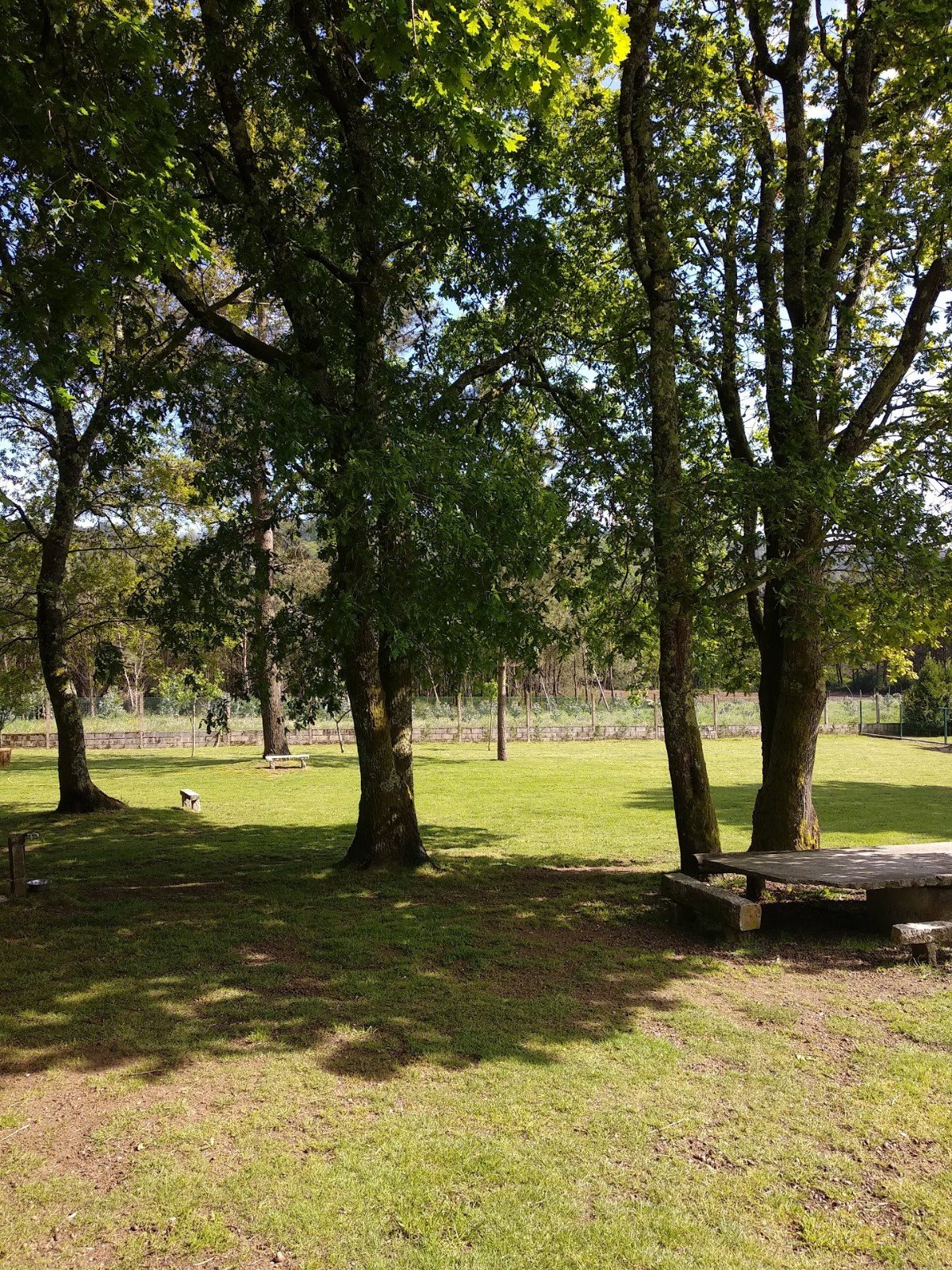 residencia canina veiga do ulla