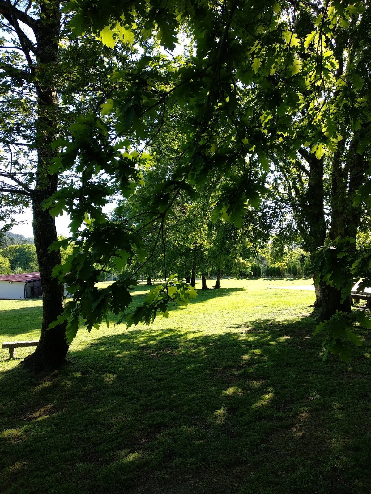 residencia canina veiga do ulla