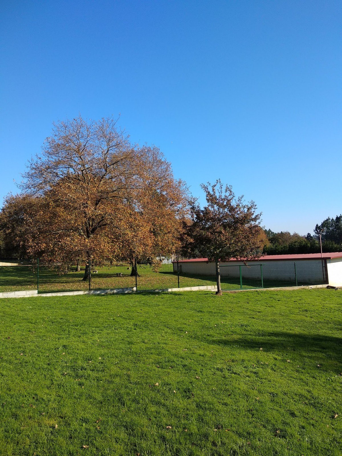 residencia canina veiga do ulla