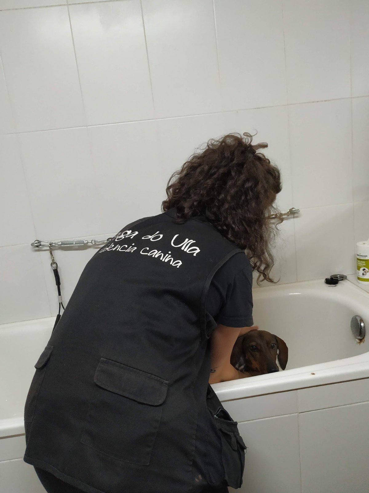 residencia canina veiga do ulla