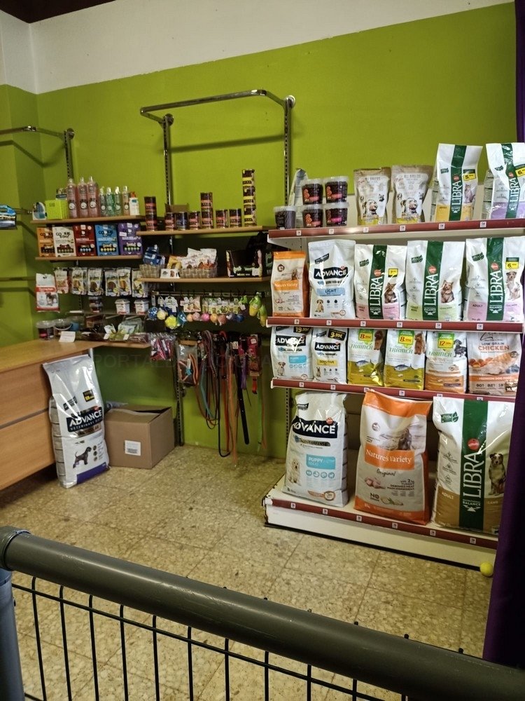 residencia canina mis mascotas