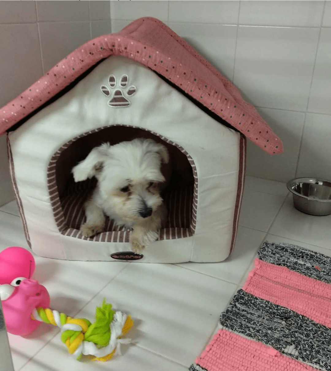 residencia canina veiga do ulla