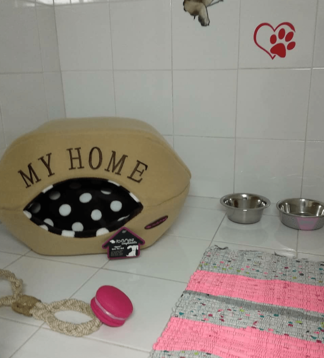 residencia canina veiga do ulla