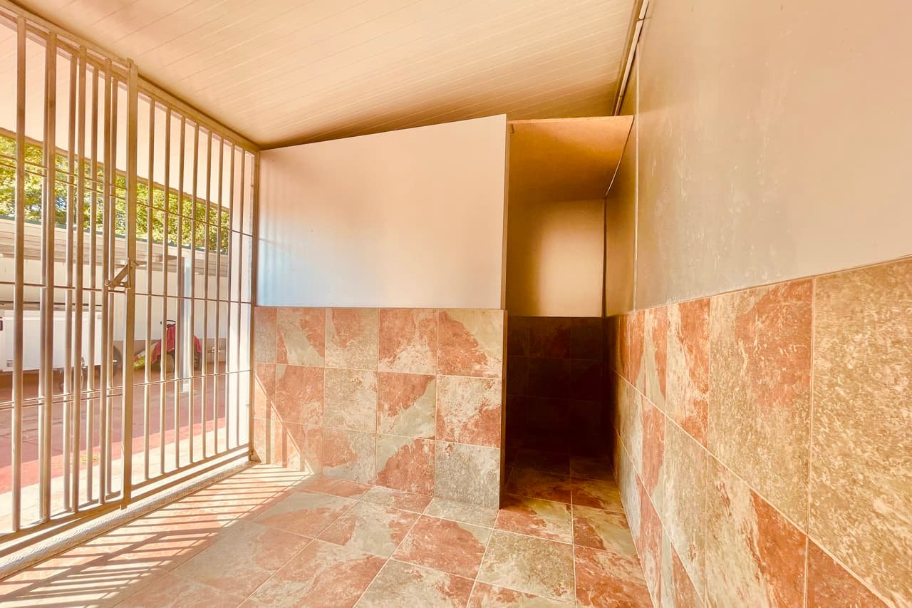 centro canino daponte