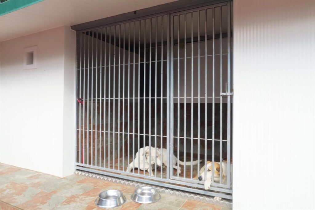 centro canino daponte