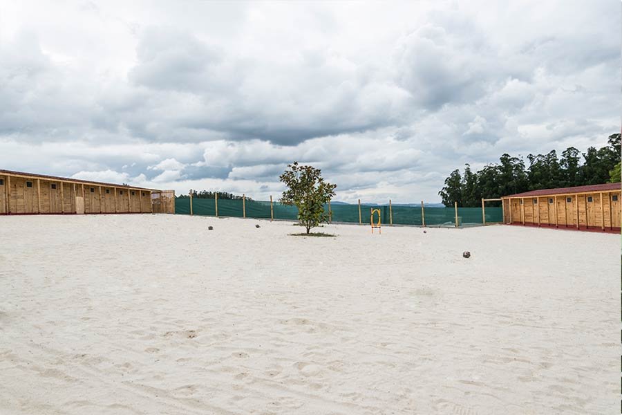 residencia canina la cabaña de la zarpa