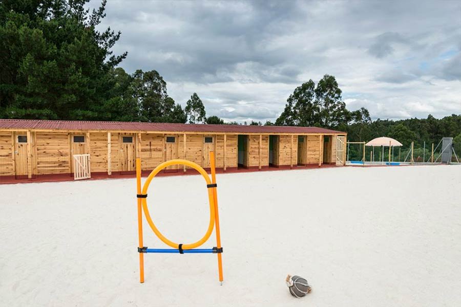 residencia canina la cabaña de la zarpa