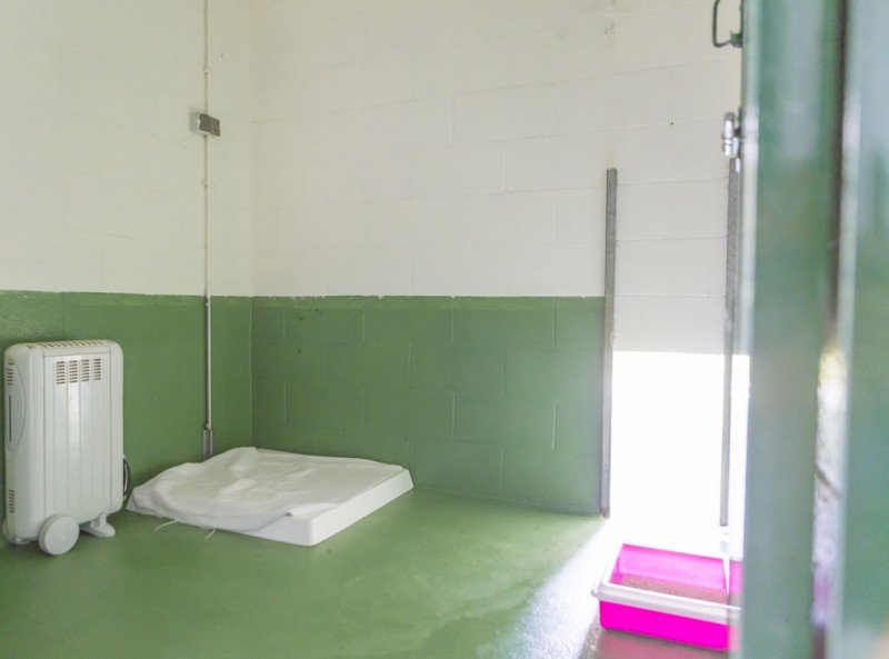 residencia canina do pazo