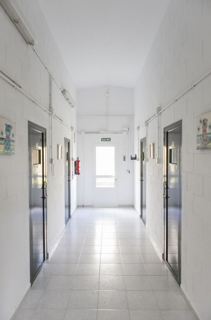 residencia canina do pazo