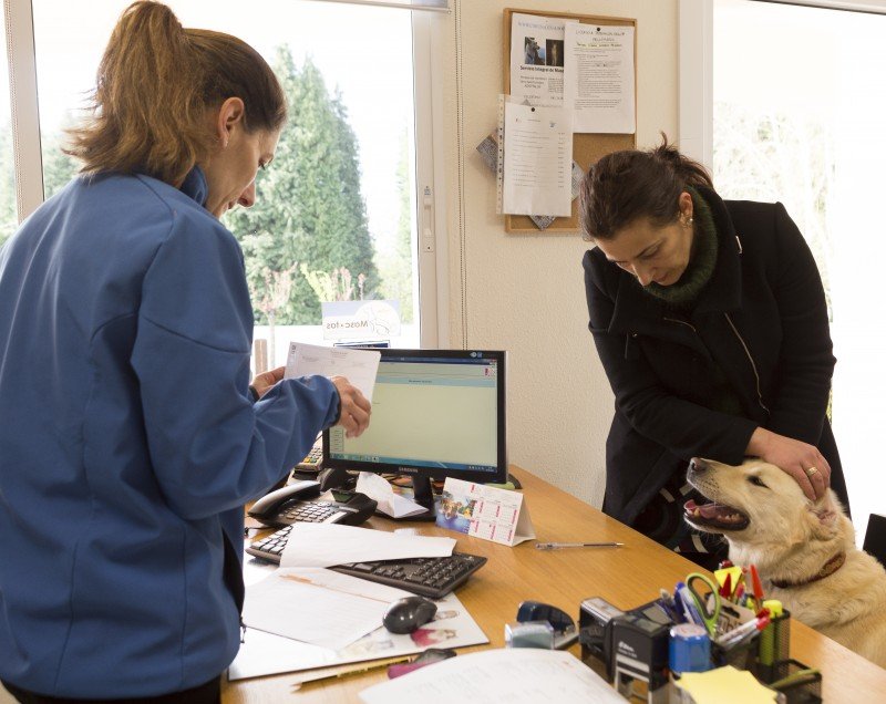 residencia canina do pazo