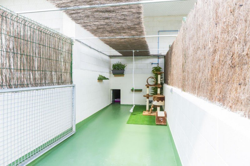 residencia canina do pazo