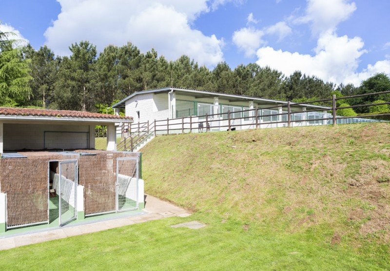 residencia canina do pazo