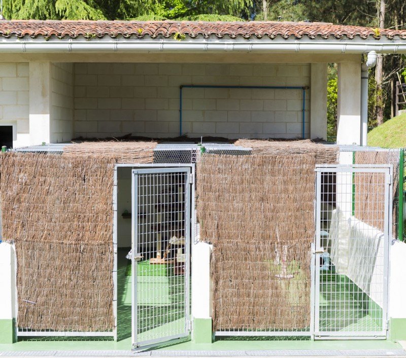 residencia canina do pazo