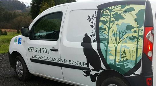 hotel de mascotas el bosque