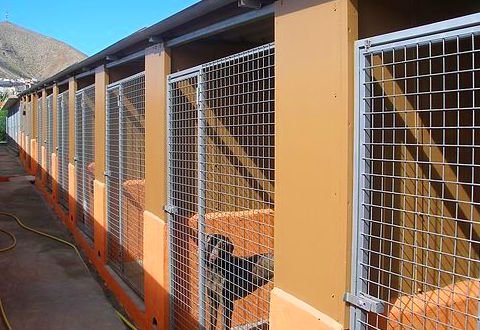 residencia canina tarazona