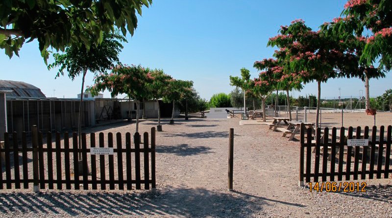 residencia canina borgescan