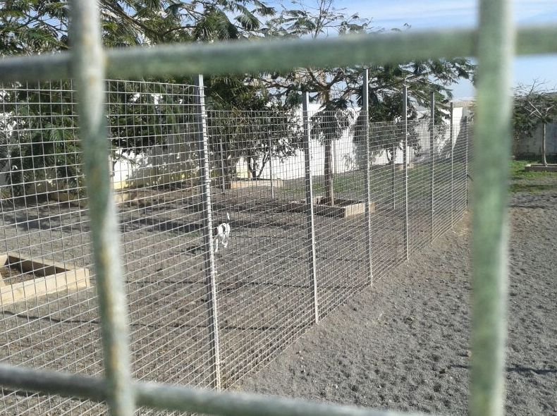 residencia canina tarazona