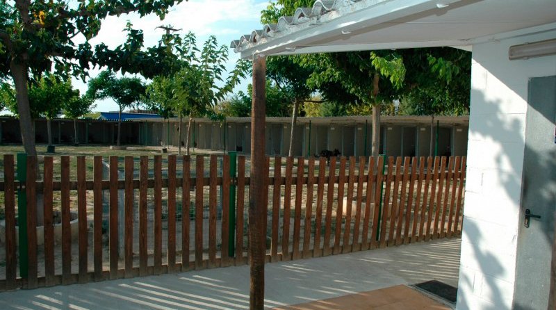 residencia canina borgescan