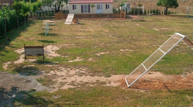 residencia canina borgescan