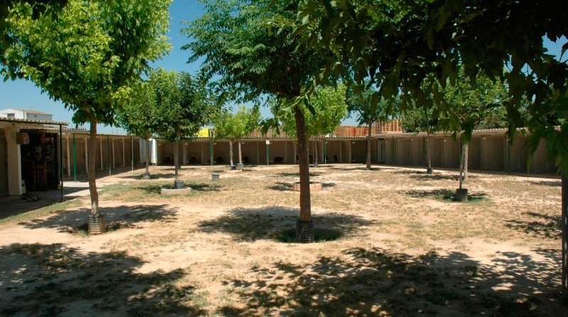 residencia canina borgescan