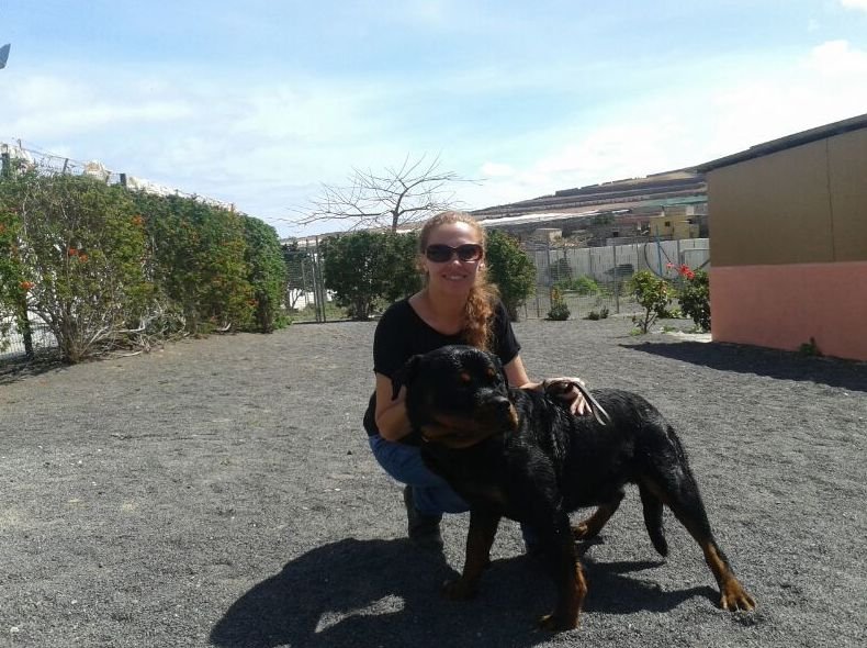 residencia canina tarazona