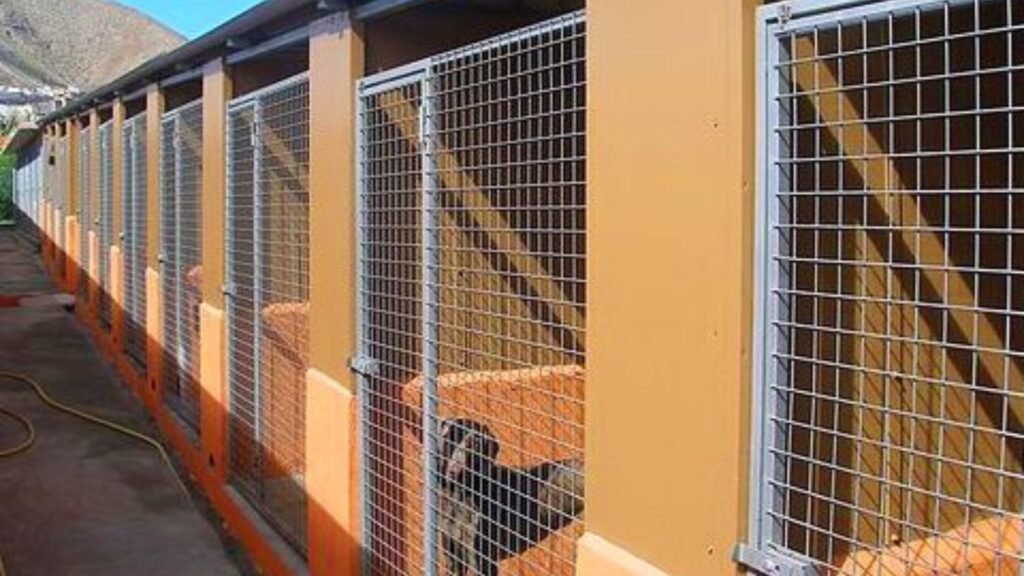 residencia canina tarazona