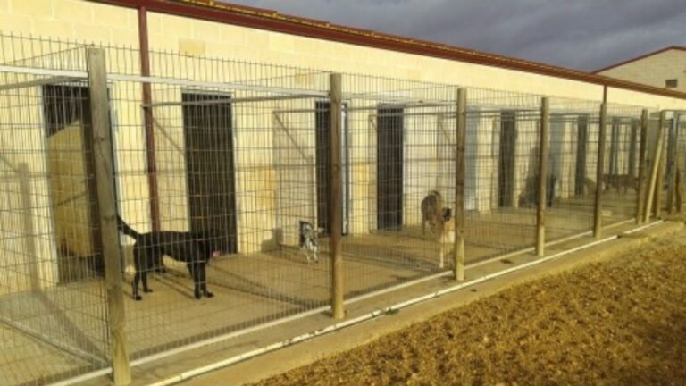 Residencia Canina Mascotas – residencia canina en León