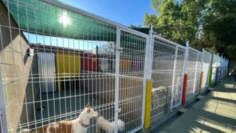 Residencia Canina Ferral – residencia canina en León