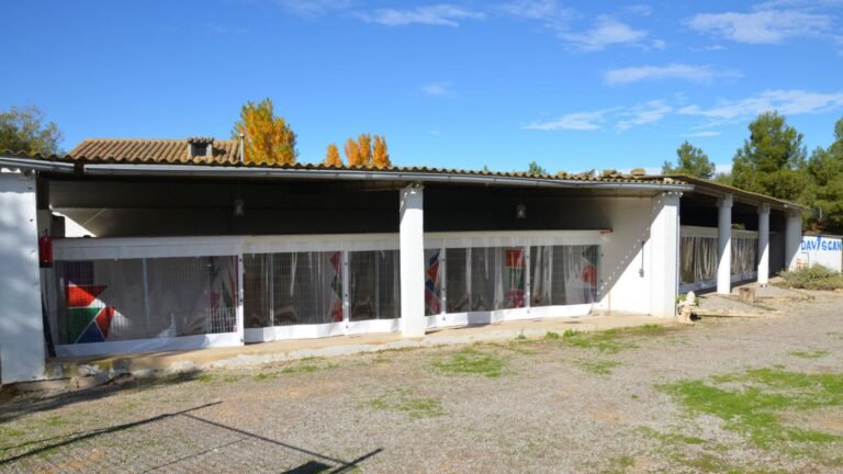 Residencia Canina Daviscan – residencia canina en Lleida