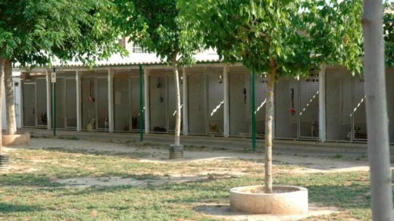 Residencia Canina Borgescan – residencia canina en Lleida