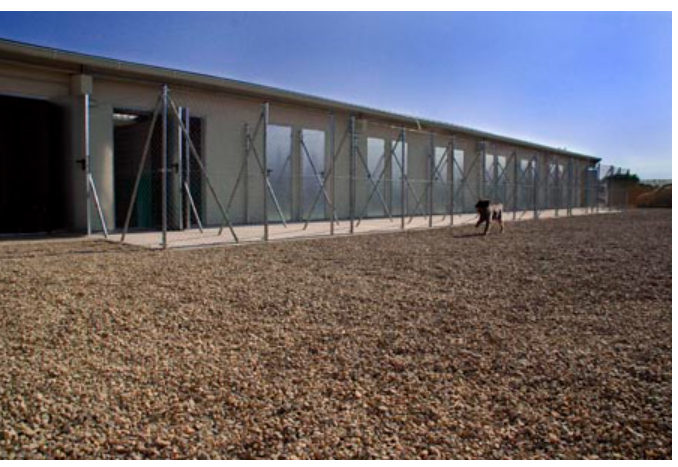 residencia canina cuadrupedos