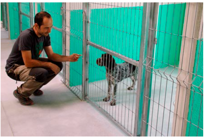 residencia canina cuadrupedos