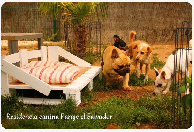 paraje el salvador