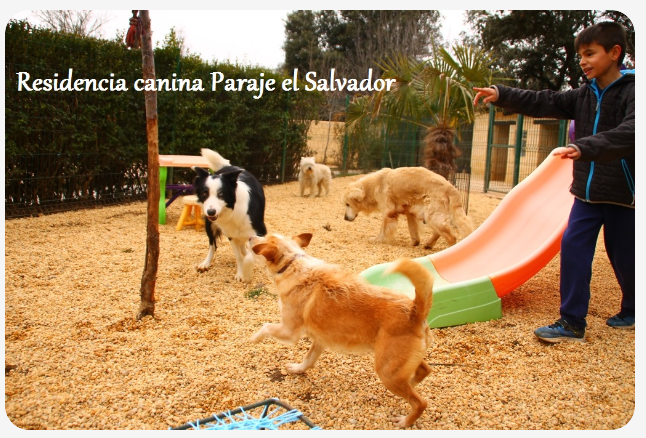 paraje el salvador