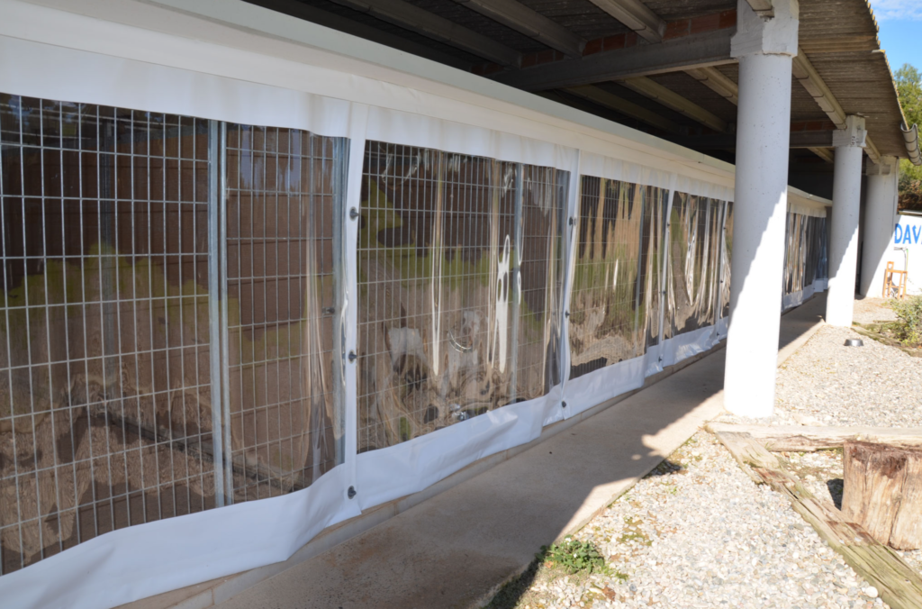 residencia canina daviscan