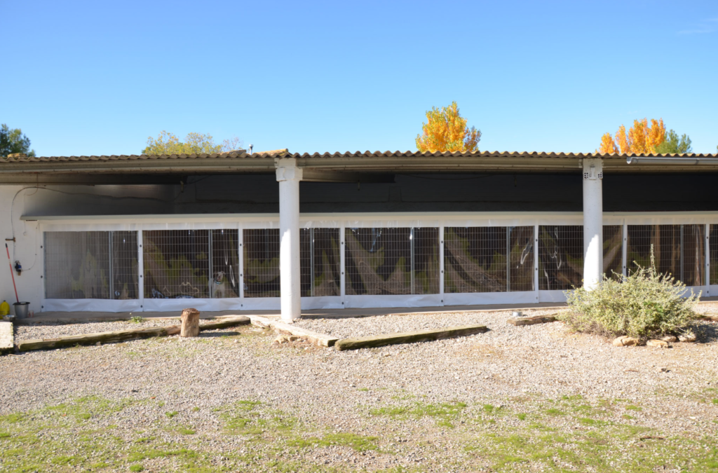 residencia canina daviscan