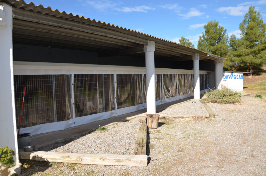 residencia canina daviscan